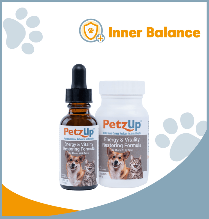 Digestive Health & Immune Support Collection