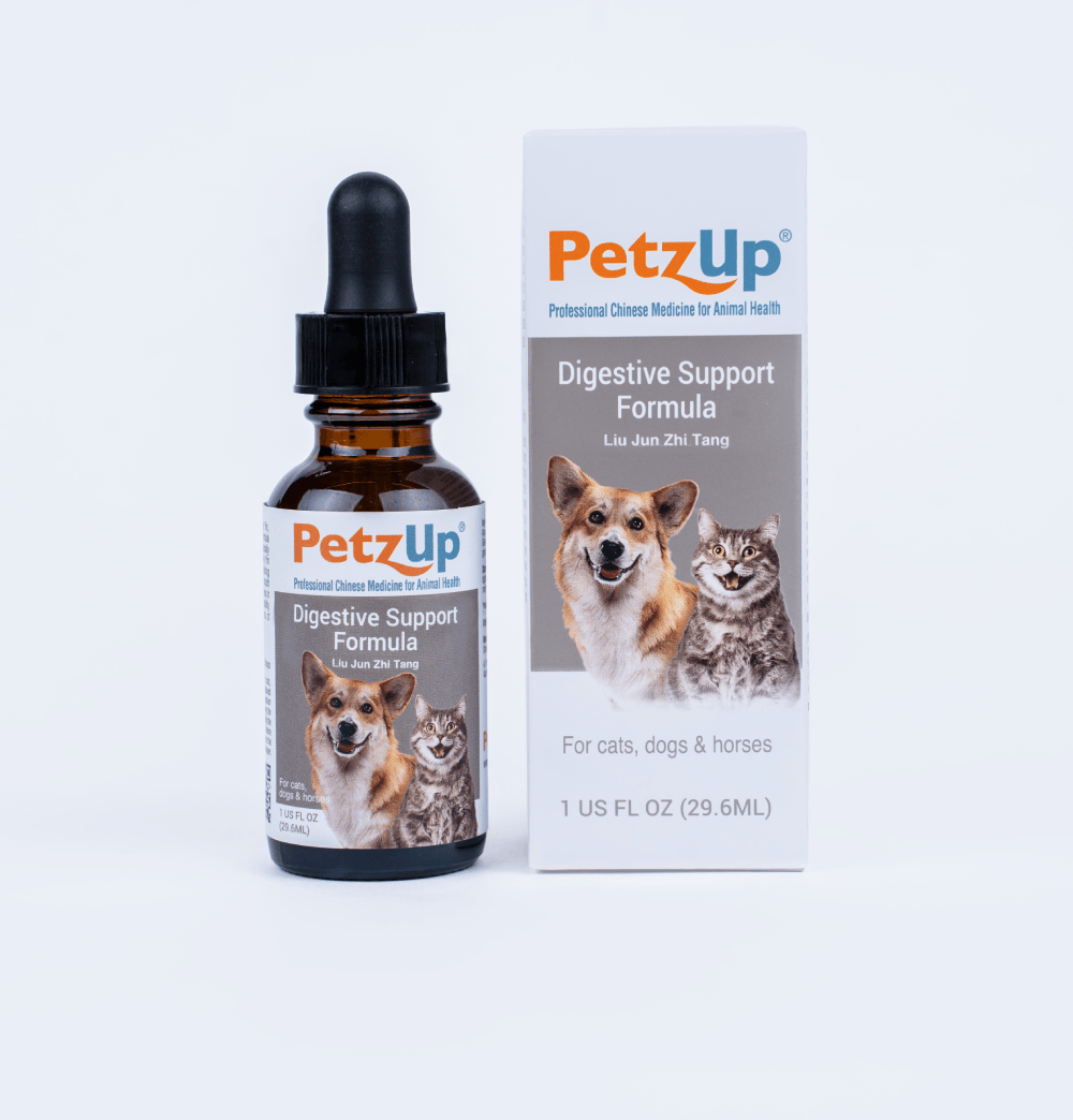 p-dj