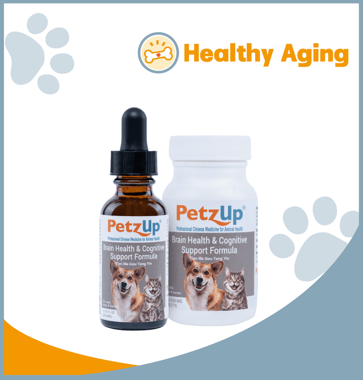 Joint Mobility & Healthy Aging Collection