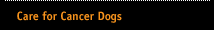 Care for Cancer Dogs