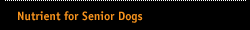 Nutrient for Senior Dogs