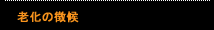 老化の徴候
