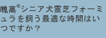 魄高®シニア犬霊芝フォーミュラを飼う最適な時間はいつですか？