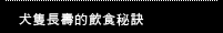 犬隻長壽的飲食秘訣