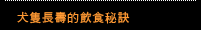 犬隻長壽的飲食秘訣